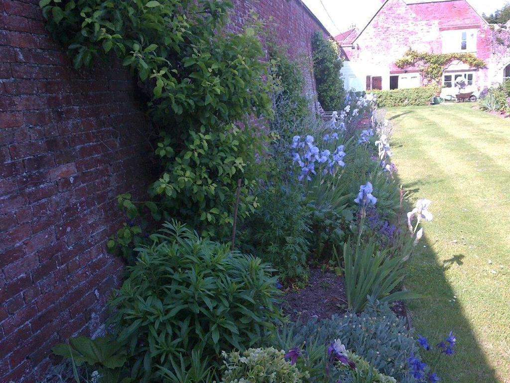 Coxley House Bed and Breakfast Wells Exterior foto